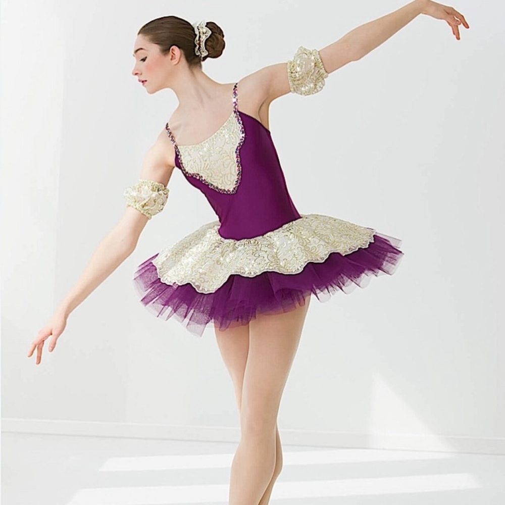 Ballet Tutu Dance Costume